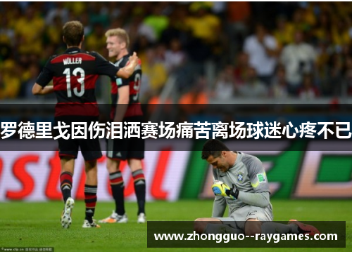 罗德里戈因伤泪洒赛场痛苦离场球迷心疼不已 罗德里戈因伤泪洒赛场痛苦离场球迷心疼不已