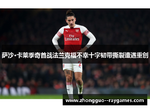 萨沙·卡莱季奇首战法兰克福不幸十字韧带撕裂遭遇重创