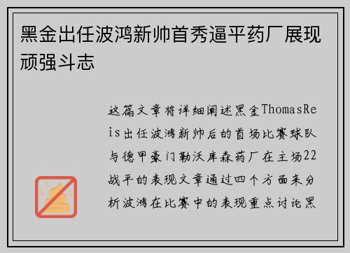 黑金出任波鸿新帅首秀逼平药厂展现顽强斗志 黑金出任波鸿新帅首秀逼平药厂展现顽强斗志