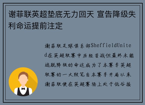 谢菲联英超垫底无力回天 宣告降级失利命运提前注定 谢菲联英超垫底无力回天 宣告降级失利命运提前注定
